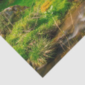 Papiertütenpapier Seidenpapier (Detail)