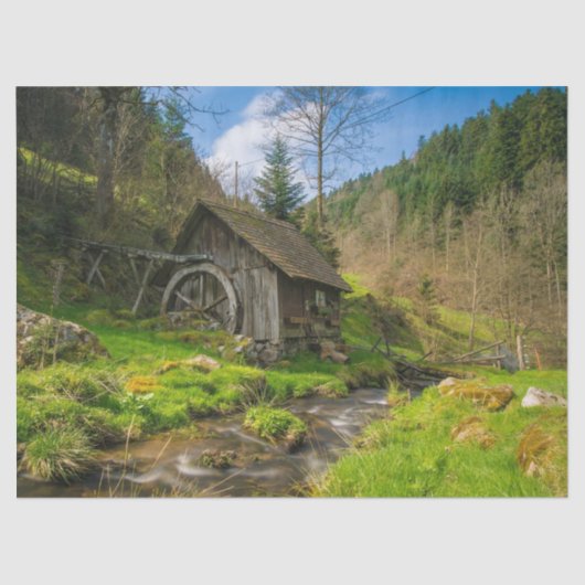 Papiertütenpapier Seidenpapier (Vorderseite)