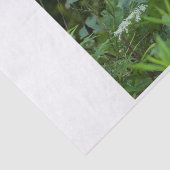 Papiervorlage Seidenpapier (Ausschnitt)
