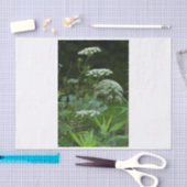 Papiervorlage Seidenpapier (Handwerk)
