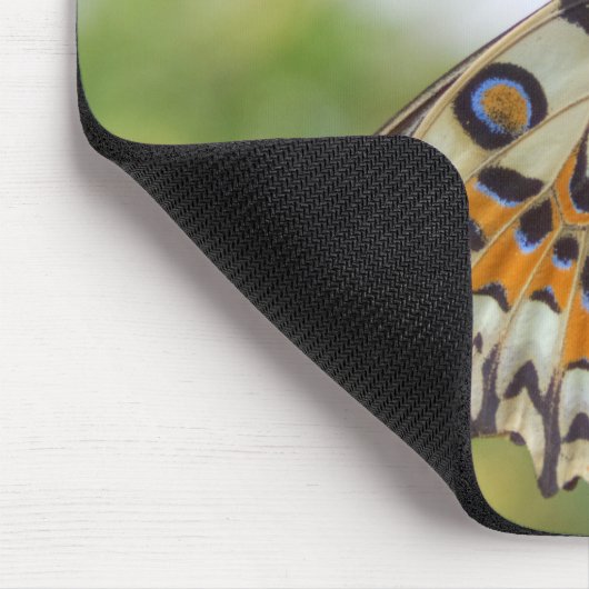 Papilio demoleus mousepad (Ecke)