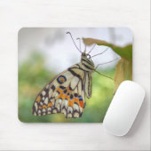 Papilio demoleus mousepad (Mit Mouse)