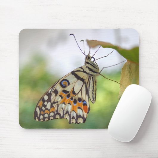 Papilio demoleus mousepad (Mit Mouse)