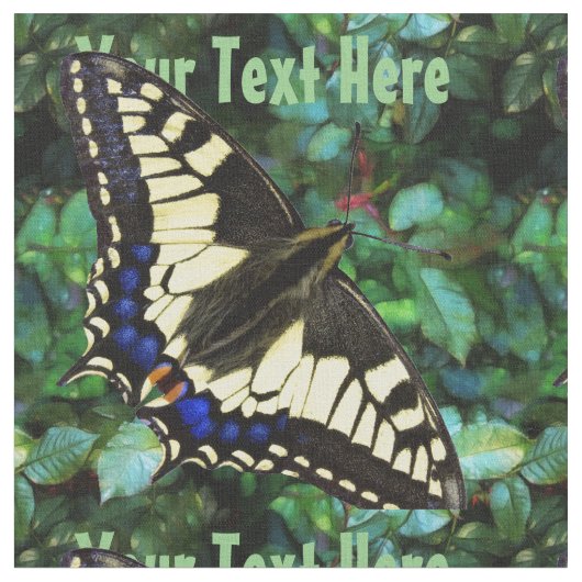 Papilio Frack Stoff (Nahaufnahme)