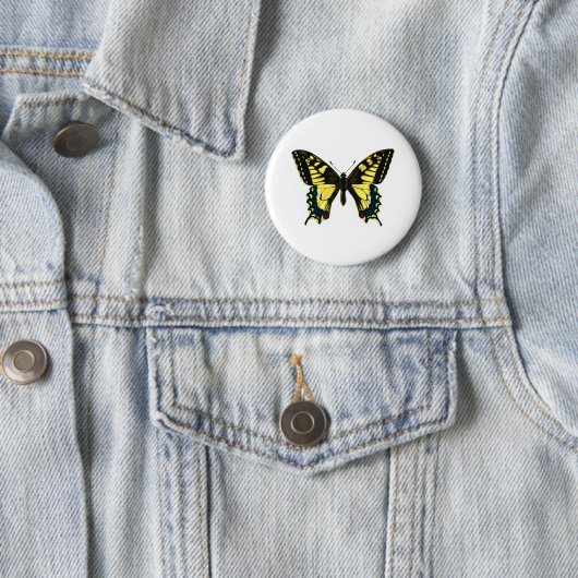 Papilio Machaon Button (Beispiel)