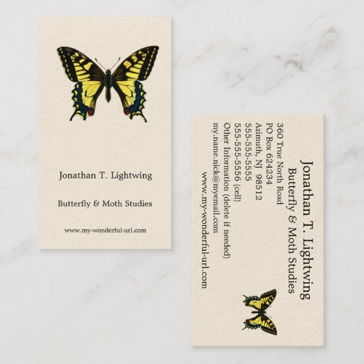 Papilio machaon - Old World Swallowtail Butterfly Visitenkarte (Vorne/Hinten)