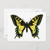 Papilio Machaon Postkarte (Vorne/Hinten)