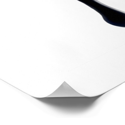 Papilio Ulysses Butterfly Poster (Ecke)