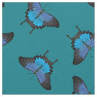 Papilio Ulysses Frack Butterflies Butterfly