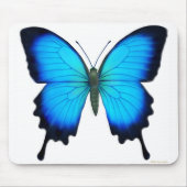 Papilio Ulysses Schmetterling Mousepad (Vorne)