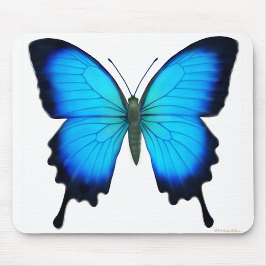 Papilio Ulysses Schmetterling Mousepad (Vorne)