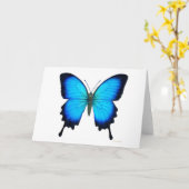 Papilio Ulysses Schmetterlings-Karte Karte (Gelbe Blume)