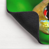 Papiliochromis ramireziの ス ド mousepad (Ecke)