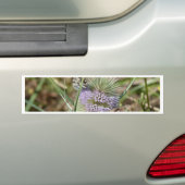 Papillen Autoaufkleber (Auf Auto)
