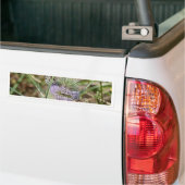 Papillen Autoaufkleber (Auf Lkw)