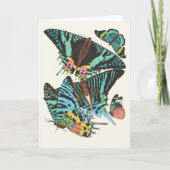 Papillen | Emile-Allain Séguy Karte (Vorderseite)