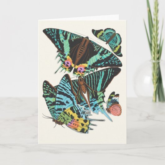 Papillen | Emile-Allain Séguy Karte (Vorderseite)