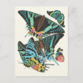 Papillen | Emile-Allain Séguy Postkarte (Vorderseite)