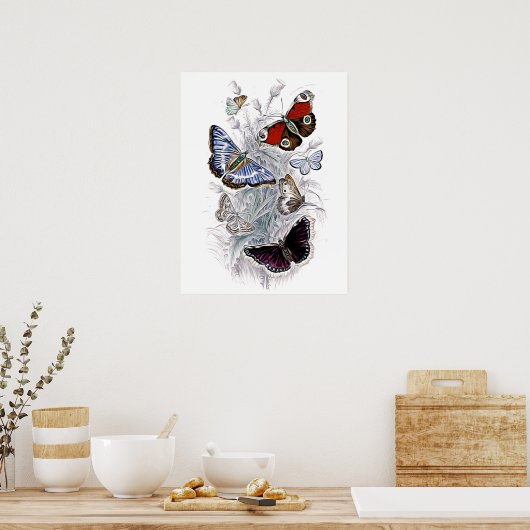 Papillen Poster (Küche)