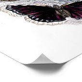 Papillen Poster (Ecke)