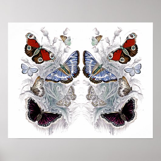 Papillen Poster (Vorne)