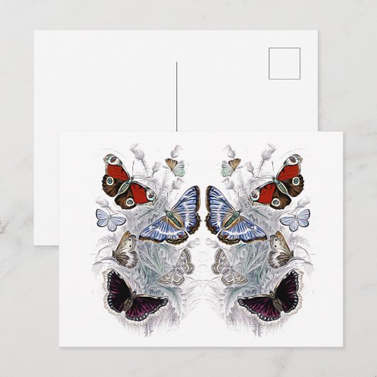Papillen Postkarte (Vorne/Hinten)