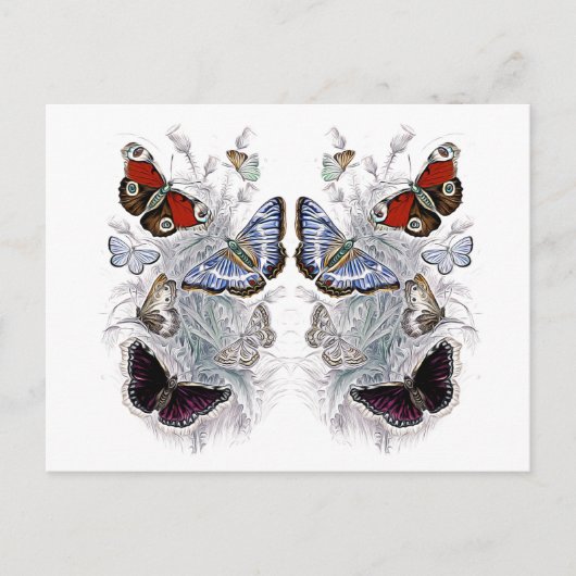 Papillen Postkarte (Vorderseite)