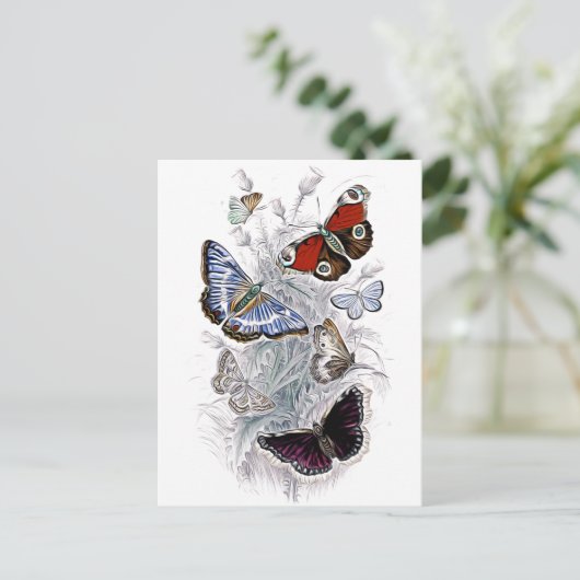 Papillen Postkarte (Stehend Vorderseite)