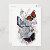 Papillen Postkarte (Vorne/Hinten)