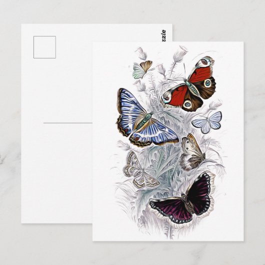 Papillen Postkarte (Vorne/Hinten)