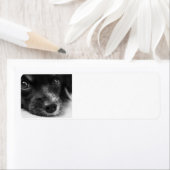 Papillenfläche (Insitu)