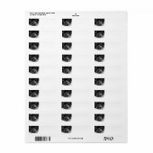 Papillenfläche (Vorne)