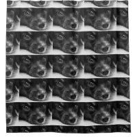 Papillenfläche