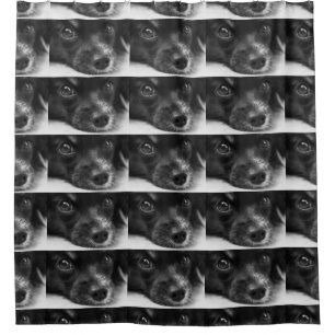 Papillenfläche Duschvorhang