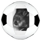 Papillenfläche Fußball (Gedreht)