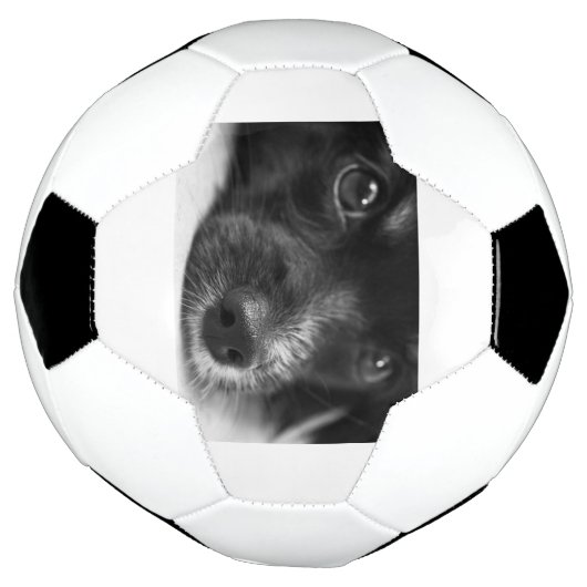 Papillenfläche Fußball (Gedreht)