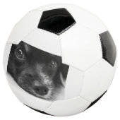 Papillenfläche Fußball (Dreiviertel)