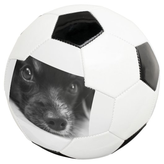 Papillenfläche Fußball (Dreiviertel)