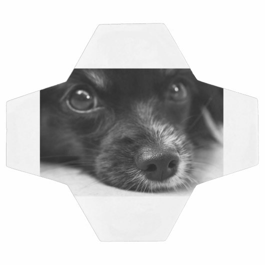 Papillenfläche Fußball (Flach)