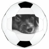 Papillenfläche Fußball (Vorderseite)