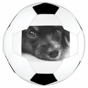 Papillenfläche Fußball