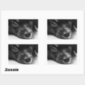 Papillenfläche Rechteckiger Aufkleber (Blatt)