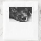 Papillenfläche Rechteckiger Aufkleber (Tasche)