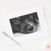 Papillenfläche Rechteckiger Aufkleber (Umschlag)