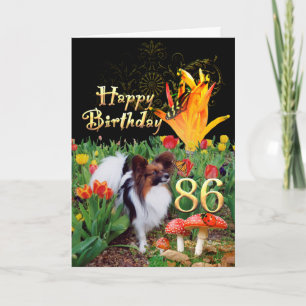 Papillion Hund Happy 86 Geburtstagskarte Altersspe Karte