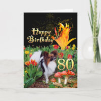 Papillion Hunde züchten Happy 80 Schmetterlinge zu