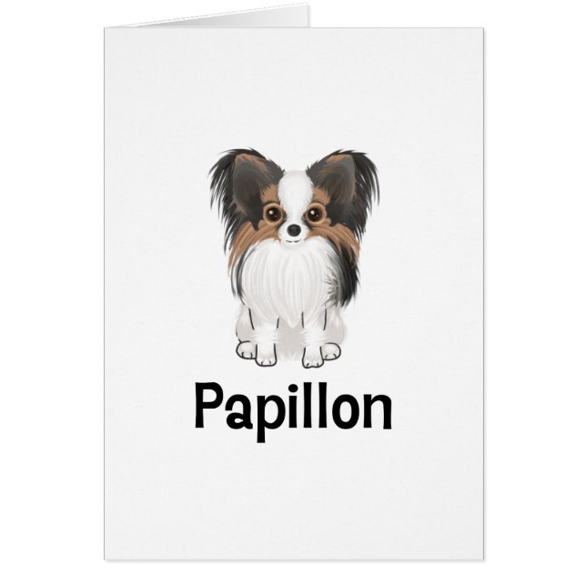 Papillon (Vorne)