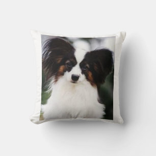 Papillon 2 kissen