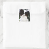 Papillon 2 quadratischer aufkleber (Tasche)