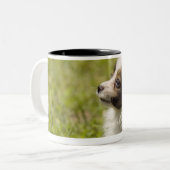 Papillon 2 zweifarbige tasse (Vorderseite Links)